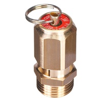 Клапан предохранительный 8 бар 1/2" с кольцом ручного сброса AIR TEK VS1208A